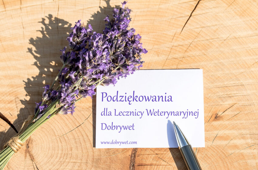 podziękowania, klinika weterynaryjna, dobrywet dlugopis i lawęda