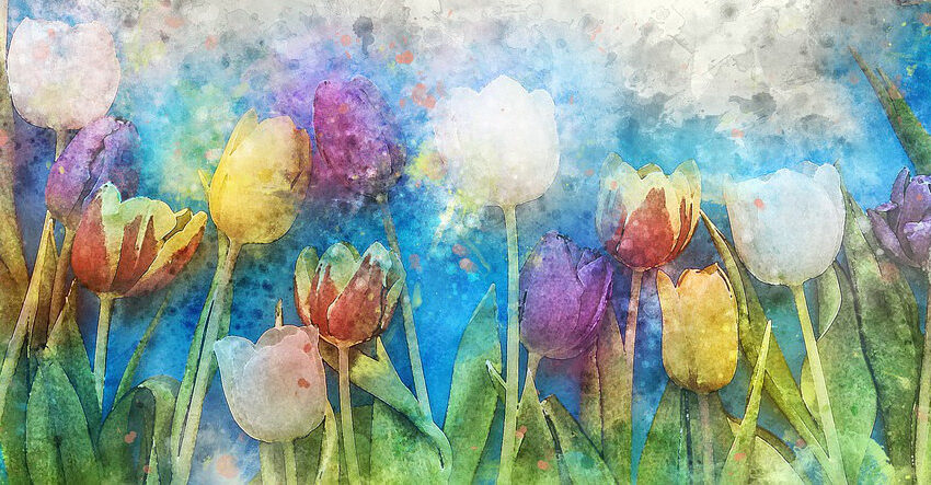 Grafika przedstawia tulipany oraz błękitne niebo